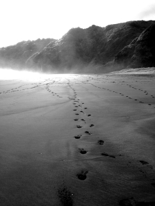 Footprints