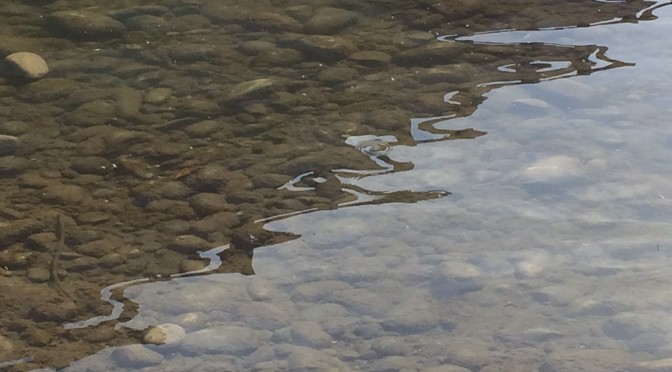 Reflections, Mirrors, Passages…