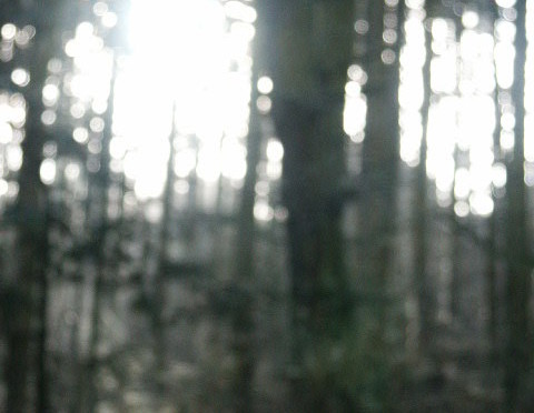 the randomness of it all stream of consciousness
