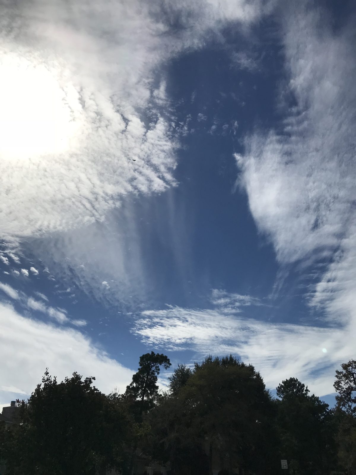 Above the treetops…where hope lives