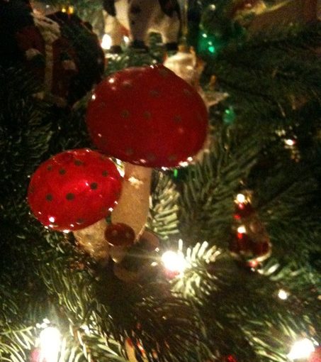 nimble_asset_IMG_0015