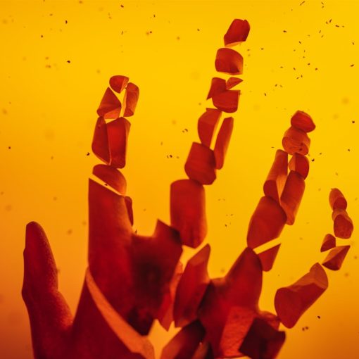 light sunset love people